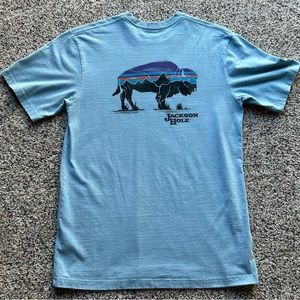 Patagonia Jackson Hole, Wyoming Buffalo Responsibli-Tee Tshirt